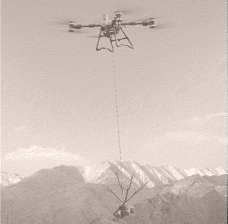 Drone carries new saplings to planting site.